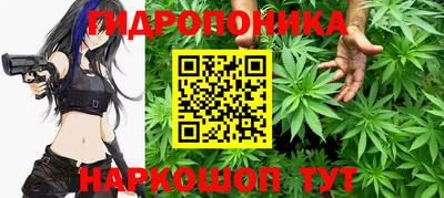 прущие крисы Донецк