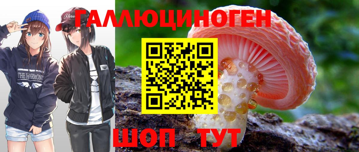 Псилоцибиновые грибы GOLDEN TEACHER Калининград
